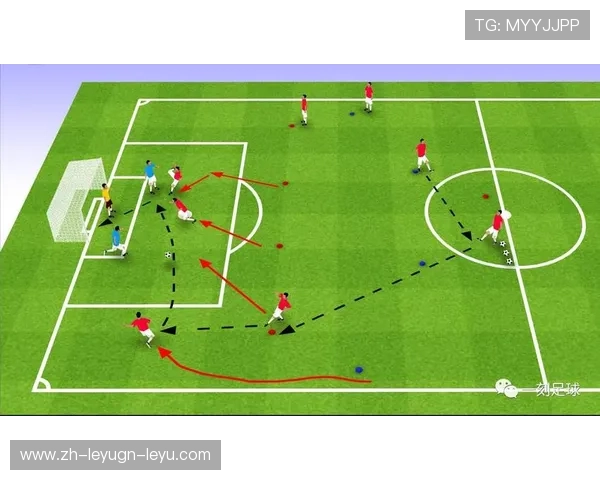 退役球员职业转型在足球教育产业中的价值转化
